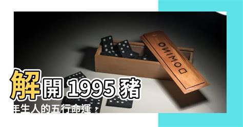 1995 豬|【1995豬五行】1995豬五行秘辛大公開！解開五行之謎，掌。